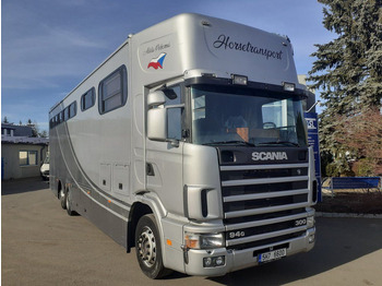 Новый Коневоз Scania 94G 300 Pferd/Horse-transport (M1 Zulassung) 6x2: фото 3