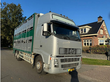 Грузовик для перевозки животных VOLVO FH12 500