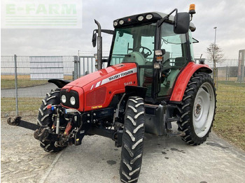 Трактор MASSEY FERGUSON 6445